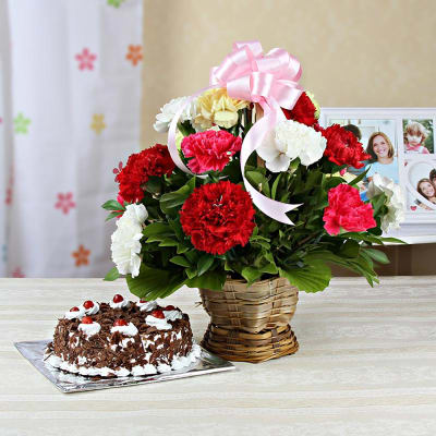 Basket Arrangement of 15 Mixed Carnations with Black Forest Cake (1 Kg)