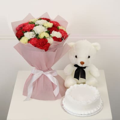 Bunch of 20 Mix Carnations with Half Kg Vanilla Cake & Teddy